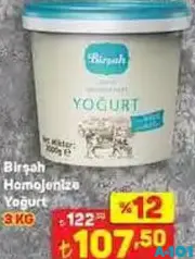 BİRŞAH HOMOJENİZE YOĞURT 3 KG